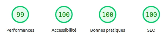 Optimisation Avada PageSpeed : Après PageSpeed Insights mobile site Avada optimisé